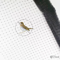 Filet anti-oiseaux et clôture anti-cerfs en plastique PP+UV stabilisé noir avec service de découpe pour la protection des fruits et légumes