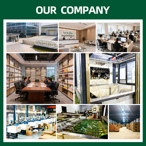 Party Plastic Wine <strong>Glasses</strong> Disposable Clear Juice Coffee Smoothie Cup Take Away PET Plastic Cup With Flat Dome Lid - Product Image 6