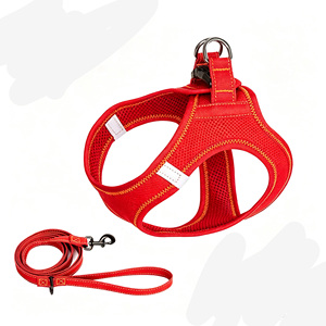 Breathable Mesh <b>Pet</b> <b>Harness</b> With Matching Leash Set Adjustable Anti‑Pull Dog Vest For Daily Outdoor Walking - Product Image 5