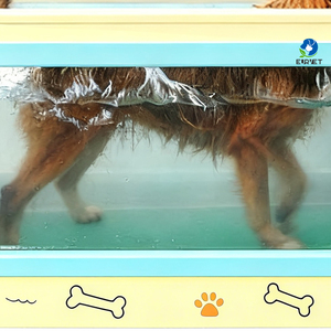 Equipo Veterinario EUR VET a Bajo Precio, Caminadora para Perros Pequeños, Hidroterapia Canina, Caminadoras Acuáticas para Perros, Entrenador de Hidroterapia - Product Image 5