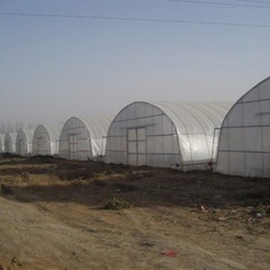 Agriculture Tomate Tunnel à travées multiples Serre Agricole Maison Verte Cadre Métallique Horticulture Serre Tropicale Prix - Product Image 2