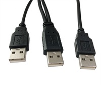 Câble USB2.0 2 en 1 type A mâle vers A mâle Câble Y pour PC HDD