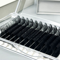BY 0.03 0.05 Extension de cils de volume russe de marque privée Faux cils individuels Extensions de cils noirs mats foncés