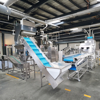 Volautomatische Bevroren Frietproductielijn Gehele Productielijn Industriële Chips Productielijn