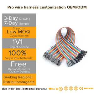 Kabel Jumper 40 Pin Warna-warni 30cm, Konektor Jantan ke Betina, Kabel DuPont 40P untuk Aplikasi Elektronik, Isolasi PBT - Product Image 1