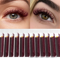 Extensions de cils classiques EMEDA en velours mat couleur marron-rouge, effet rouge bordeaux profond, plateaux d'extensions de cils volumineux