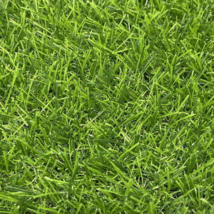 Césped Sintético de Alta Densidad de 40 mm y 50 mm, Césped Artificial de Pampas para Exteriores, Resistente a los Rayos UV, para Pisos Deportivos - Product Image 2