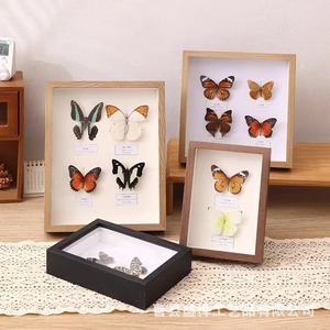 Cadre en bois pour spécimens d'insectes, boîte de rangement rectangulaire faite à la main pour l'affichage sur le bureau à domicile - Product Image 1