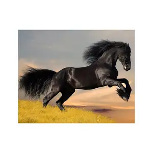 Pintura de cavalo escuro animal elegante, pintura de diamante 40x50 sem desbotamento, pintura artesanal de decoração DIY
