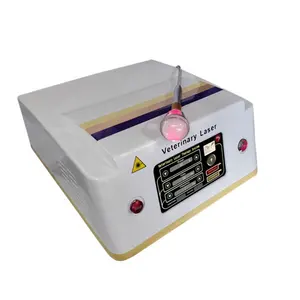2023 cutting edged laser animation 3d physical therapy for animal veterinary ultrasound machine