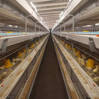 Cage de batterie automatique à 4 niveaux H de haute qualité équipement de volaille complet pour l'élevage de poulets pour la viande poulet oiseau maison