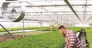 Skyplant Greenhouse <b>Circulating</b> <b>Fan</b> for Horizontal <b>Air</b> Flow - Product Image 6