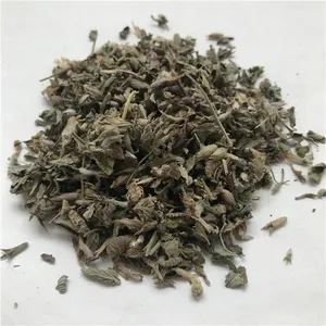 Erva seca orgânica natural a granel folhas catnip Nepeta Cataria Cat menta para gato