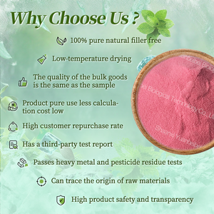 Poudre <span class=keywords><strong>de</strong></span> <span class=keywords><strong>jus</strong></span> d'extrait <span class=keywords><strong>de</strong></span> <span class=keywords><strong>canneberge</strong></span> en vrac naturel - Product Image 3