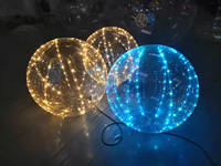 Boules de lumière LED transparentes en PVC abordables avec tailles et couleurs personnalisables, adaptées à la décoration du parc