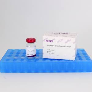 Avibacterium paragallinarum Type <span class=keywords><strong>B</strong></span> HI Test Antigène OIE Standardisé pour la sérologie infectieuse Coryza-Réactif de diagnostic vétérinaire - Product Image 4