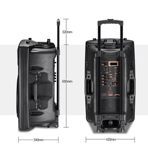 15 inch sạc Bluetooth Xe đẩy Loa wiht nhựa Trường hợp với BT/FM Radio/USB Loa ngoài trời - Product Image 6