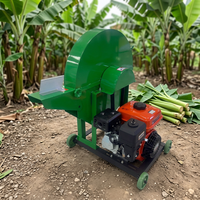 Broyeur de tiges de bananiers portable à essence, conception sur roues mobiles, mini broyeur de plantains, broyeur de fourrage domestique et agricole