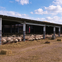 Bâtiment Agricole en Structure Acier 50x50, Poulailler Préfabriqué, Abri pour Moutons, Grange à Chèvres, Bâtiment d'Élevage avec Garantie de 5 Ans