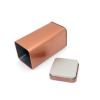 Boîte en étain rectangulaire personnalisée avec couvercle intérieur, emballage métallique pour conception de logo OEM ODM, étui en étain