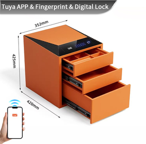 กล่องใส่เครื่องประดับสำหรับเด็กผู้หญิง CEQSAFE Smart TUYA WIFI Bluetooth คุณภาพสูง พร้อมเทคโนโลยีใหม่ กล่องนิรภัยเหล็กป้องกันการโจรกรรม สำหรับใช้ในบ้าน - Product Image 3