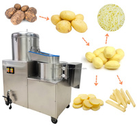Laveuse-Éplucheuse de Pommes de Terre Professionnelle 100-500 kg/Heure, Éplucheuse-Trancheuse de Pommes de Terre et de Taro, Machine de Nettoyage pour Carottes et Pommes de Terre