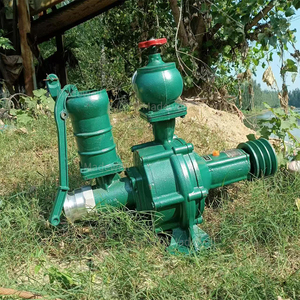 <b>Green</b> Hand Operated Centrifugal <b>Pump</b> for Agricultural Irrigation and Drainage - Product Image 1