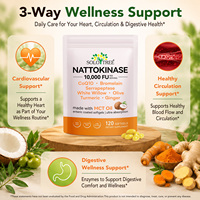 SOLOTREE 120 Gélules de Nattokinase, Compléments Alimentaires, Capsules de Nattokinase 10000 FU, Gélules de Nattokinase de Qualité Supérieure