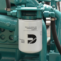 Générateur diesel haute performance 300 KVA, générateur de puissance 250 kW avec ATS Cummins pour l'alimentation de secours des bâtiments commerciaux