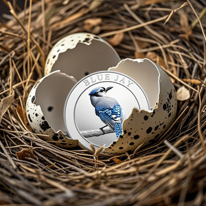 Gương Bằng Chứng 1/2Oz Bạc Chim Đồng Xu-Tay Đánh Bóng Kết Cấu Lông Cho Người Thu Sưu Thu 3D Eagle Cứu Trợ Moq 50Pcs OEM Chấp Nhận - Product Image 3