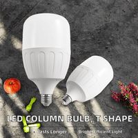 Bombillas LED A19 E26/E27 B22 T60 T70 T80 T100 T115 en Forma de T para Uso en Almacenes, Gran Venta