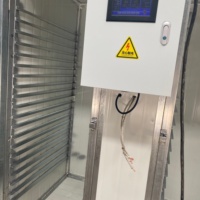 Energiezuinige automatische temperatuurregelkast droger industriële voedsel fruit groente dehydrator machine