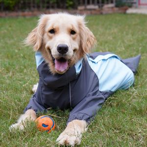 Impermeable para perros con capucha y cobertura para las cuatro patas, impermeable para razas medianas a grandes, Golden Retriever, Labrador, Border Collie - Product Image 3