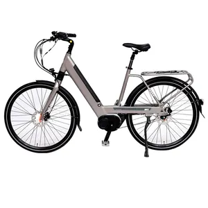 Batteria 36v mozzo posteriore motore personalizzato uomo donna adulto città E <span class=keywords><strong>bici</strong></span> bicicleta electrica <span class=keywords><strong>28</strong></span> pollici europa alluminio <span class=keywords><strong>bici</strong></span> elettrica da città - Product Image 1