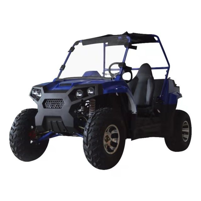 New Electric Utv  with 3000w  Mini Quad Bike Utv