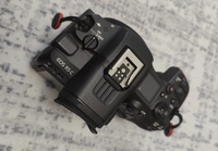 Canon EOS R5 C Appareil Photo Numérique Cinéma Compact 45 Mpx Plein Format Enregistrement Vidéo 8K à 30 ips et 4K à 120 ips