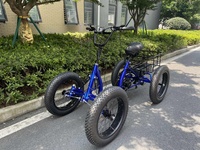 Vélo électrique 4 roues populaire 2025, moteur 1000W, batterie 48V 24Ah, vélo cargo électrique tout-terrain avec suspension