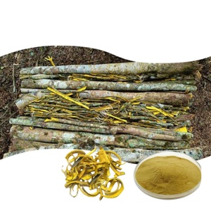 <b>Best</b> Price Food Grade Amur Corktree Bark Extract Powder Form Packaged in Drum Quality Phellodendron Amurense Bark Extract - Product Image 1