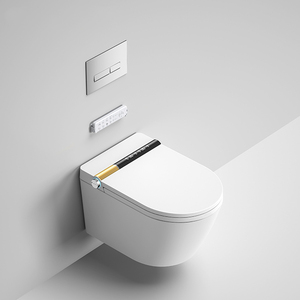 Inodoro Inteligente de Pared con Calefacción Privada de Alta Calidad, con LED, Cisterna Integrada, Modelo HMW-GS2 Australiano, Inodoro Japonés Automático - Product Image 1