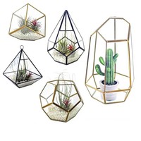 Verre de Terrarium géométrique doré, vente en gros, irrégulier, pour la plantation de plantes succulentes