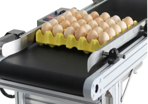 Trứng Máy In Bao Bì Công Nghiệp Thiết Kế Kim Loại Vỏ Đầu Duy Nhất Hình Trứng Máy In Phun - Product Image 3