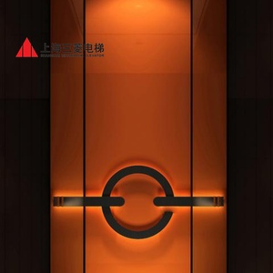 Ascenseur pour passagers Mitsubishi en acier inoxydable, ascenseur commercial sans machine, 15 personnes, ascenseur résidentiel sans engrenages pour villa - Product Image 2