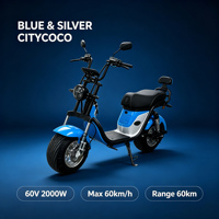 Moto électrique pour adultes avec double amortisseur, autonomie de 50-60 km, 40 °   Capacité de montée, vélo électrique certifié CE UL SAA