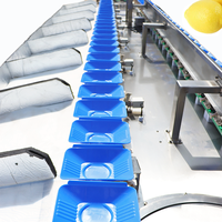 Fruit- en groenteweeg- en sorteermachine, PLC-gestuurd, hoge capaciteit, aanpasbaar, merk Kehong, model KHLH-6J, 220V, 0.75kW
