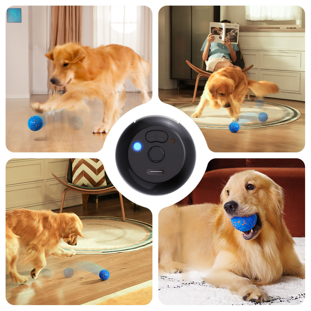 Eco Friendly Magic Sustainable Design Interactive and Movement Digital Plastic Dog Toy Ball for Pets with Automatic Rolling Pet