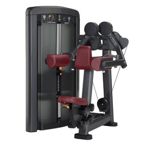 Có thể điều chỉnh thép bên nâng cao Thiết bị tập thể dục cho sức mạnh đào tạo thể hình hiệu quả cho trở lại ngực cánh tay chân tập thể dục - Product Image 1