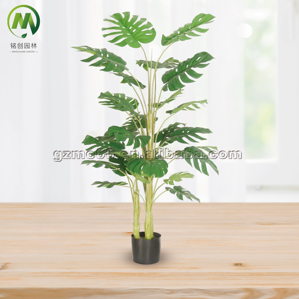 monsteria-3trunks- 150cm