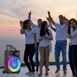 Độ bền cao cho Loa bluetooth cho ngoài trời lớn bên nhà máy trực tiếp chi phí-hiệu quả phổ đa chức năng cho comput - Product Image 2