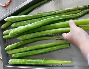 Machine de transformation des légumes en acier inoxydable, éplucheuse de laitue, machine <span class=keywords><strong>à</strong></span> éplucher <span class=keywords><strong>à</strong></span> <span class=keywords><strong>vendre</strong></span> - Product Image 2