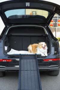 फैक्टरी कस्टम पालतू सीढ़ी रैंप बड़े कुत्तों के लिए Foldable कुत्ते कार रैंप काले कदम कार - Product Image 5